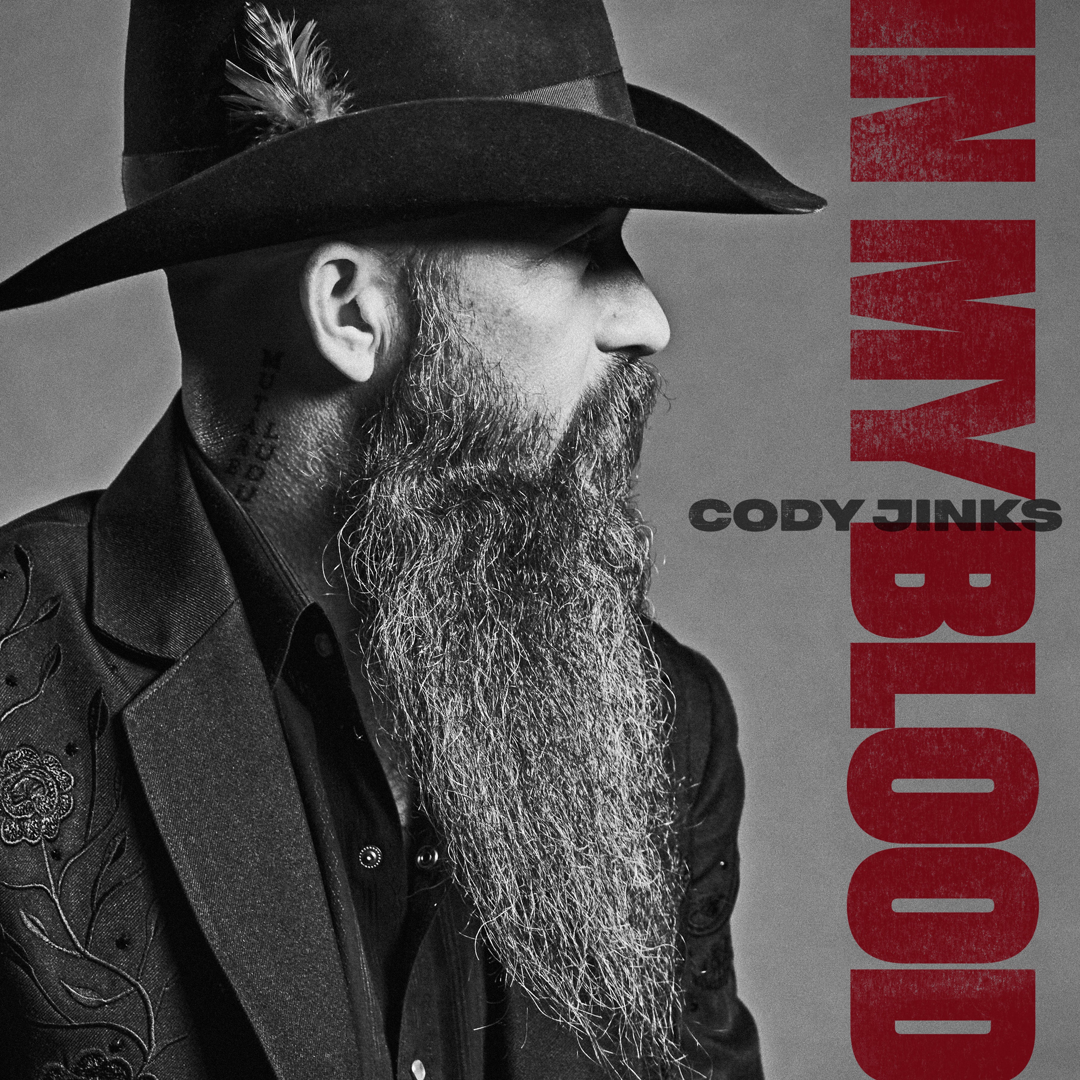 Digital Album Preorder - "In My Blood"